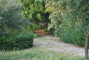 20090524 0226.JPG