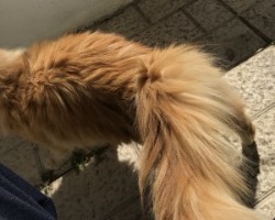 2021-03-19_13.33.41.jpg