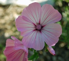 2009 04 23 4179