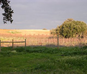 BG 008.jpg