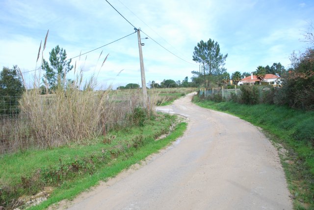 20100120_0183