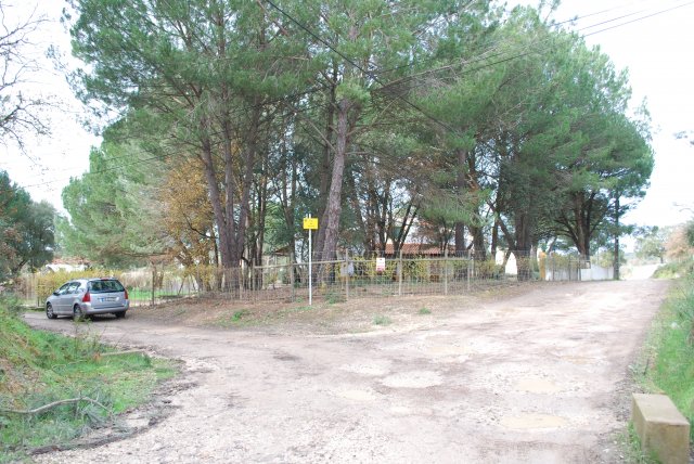 20100120_0184