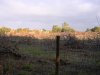 20041204_2332