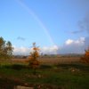 20051227_1444