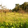 20061229_0044