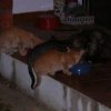 2005-07-02_0862