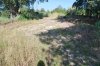 2010-06-19_0677