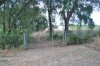 2013-07-27_0680