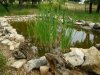 Lago_2006-05-14_2003