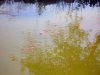 Lago_2007-04-22_2358