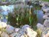 Lago_2008-04-03_3284