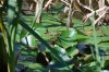 Lago_2009-05-27_0254