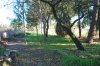 Pinhal_2016-12-23_2131