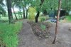 Pinhal_2018-05-24_3711
