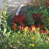 Poente_2009-08-27_0493