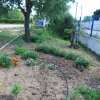 Poente_2010-05-14_0367