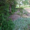 Poente_2013-04-20_0767
