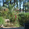 Roseiral_2013-06-01_0882