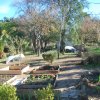 Sul_2013-02-04_0436