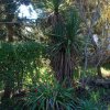 Sul_2016-12-23_2134