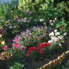 Sul_2017-06-01_2531