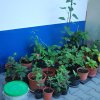 Sul_2018-09-10_3773