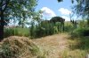 2010-05-14_0381
