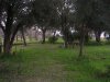 Parque_2003-12-26_1763
