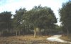 Passeio_2000-08-19_0026
