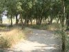 Passeio_2003-08-10_1328