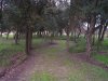 Passeio_2003-12-26_1762