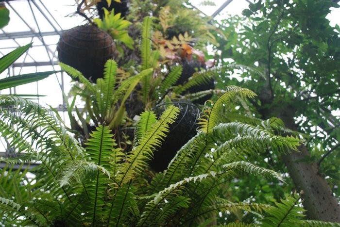 20140828_0279