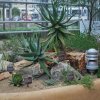 20140828_0247