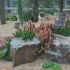 20140828_0253
