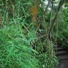 20140828_0255