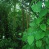 20140828_0263