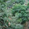 20140828_0265