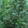20140828_0266
