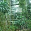 20140828_0271