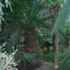 20140828_0274