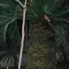 20140828_0276