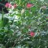 20140828_0280