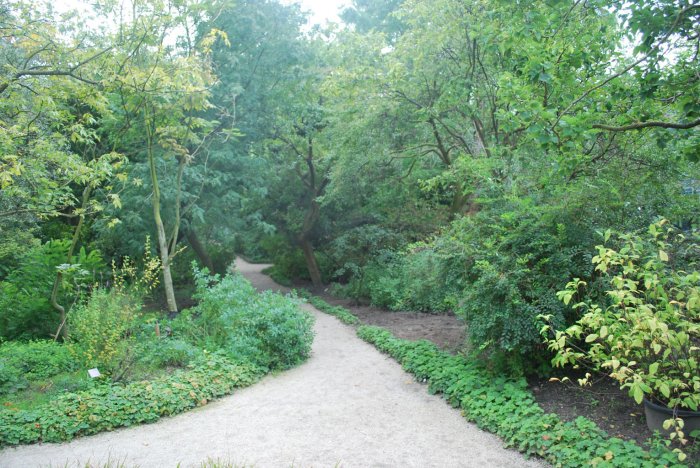 20140828_0242