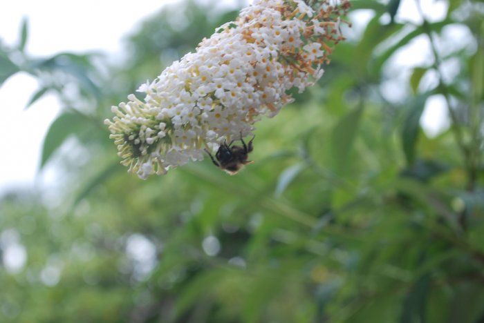 20140828_0244