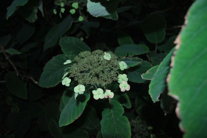 20140828_0302