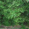 20140828_0238