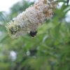 20140828_0244