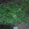 20140828_0293