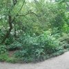 20140828_0297