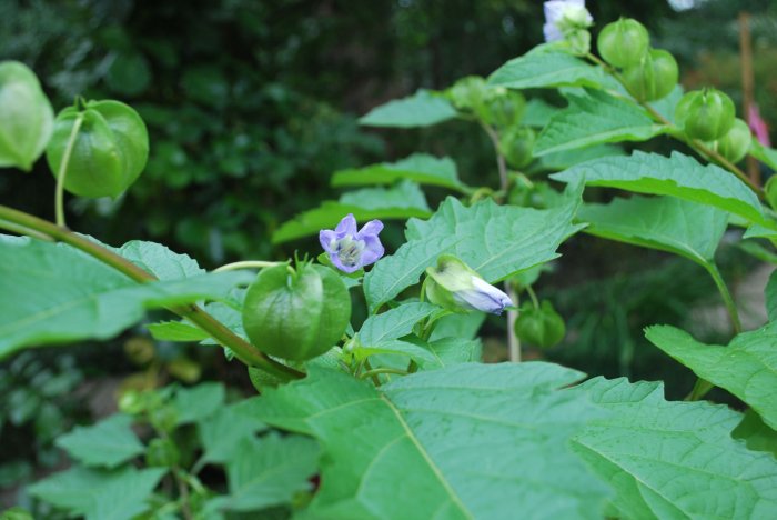 20140828_0328